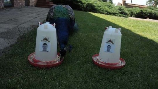 Paw z Kozłówki wskazał, kto strzeli gola w meczu Polska - Portugalia