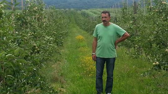 Paweł Siwiec, Celejów koło Kazimierza Dolnego