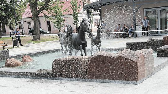 Pędzą konie po betonie, czyli betonoza po janowsku. "To doskonale ilustruje oderwanie władzy od rzeczywistości"