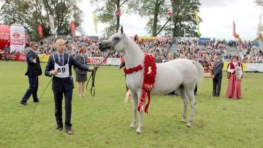 Pepita gotowa na aukcję. Czy jest warta więcej niż milion euro?