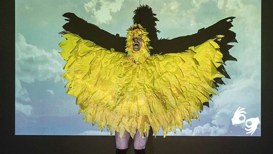 Performance "Covfefe" po raz drugi w Galerii Labirynt