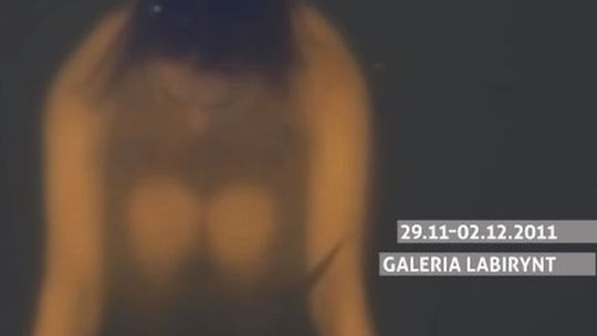 Performance Platform Lublin 2011 (program)