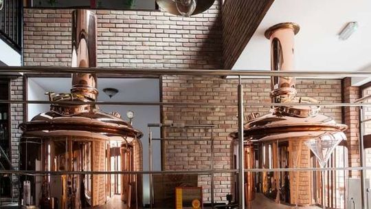 "Piaski Nevady": Piwo z Puław wygrało chmielakowy konkurs