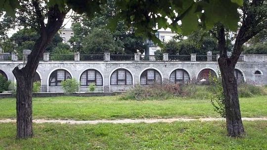 Pięć lat temu wycięto blisko 80 drzew, a budowa nadal nie ruszyła. Alchemia ma być mniejsza