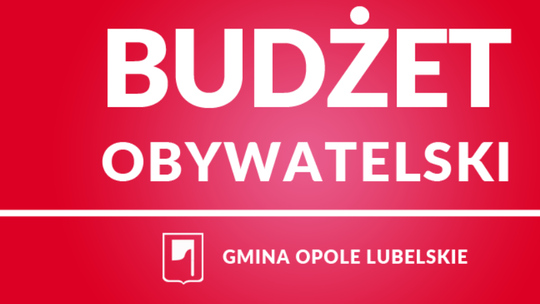 Pięć projektów powalczy o głosy mieszkańców. Są już wyniki weryfikacji
