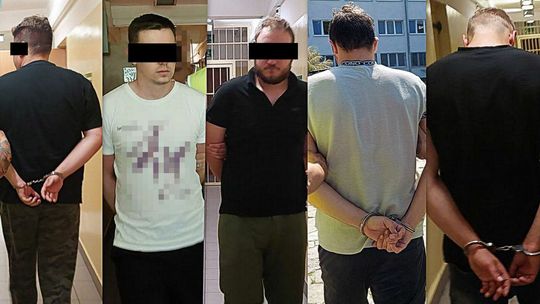 Pięciu mężczyzn zatrzymanych za treści pedofilskie. Jeden z nich miał też pornografię z udziałem zwierząt