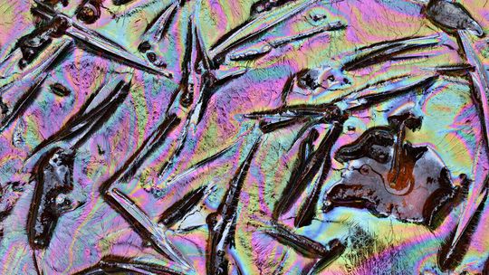  Piękne bakterie, intrygujące tlenki. W piątek wernisaż w Lublinie