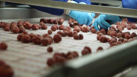 Pieniądze dla rolników na rozkręcenie biznesu. Są dotacje na małe przetwórstwo