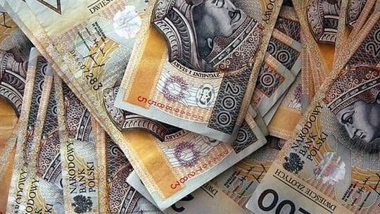 Pieniądze na utylizację padłych zwierząt