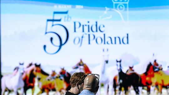 Pierwsza aukcja Pride of Poland po zmianie władzy. Minister: "Te zmiany już widać" 