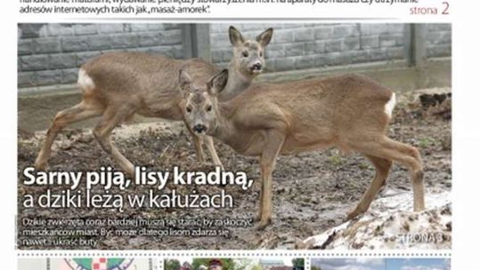 Pierwsza strona Dziennika Wschodniego