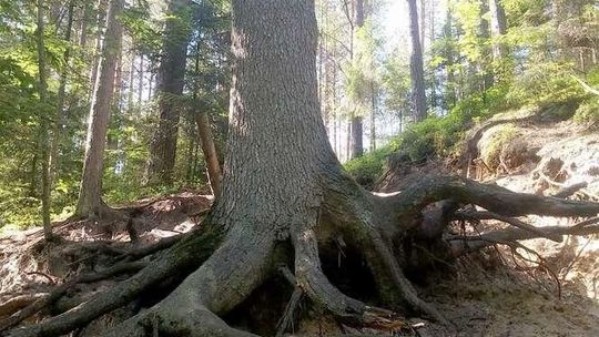 Pierwsza taka mapa Roztocza. Od Kraśnika aż do Lwowa