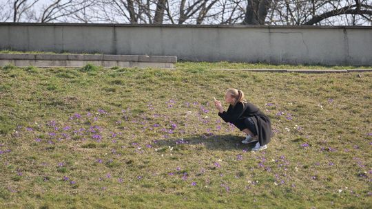 Pierwszy dzień wiosny 2021. Pokażcie to na zdjęciach 