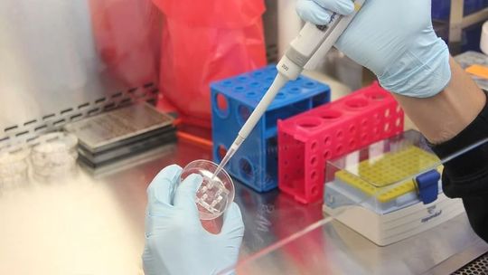 Pierwszy obywatel Francji zmarł z powodu zakażenia koronawirusem. Nagranie z pokładu samolotu, który przyleciał z Rzymu