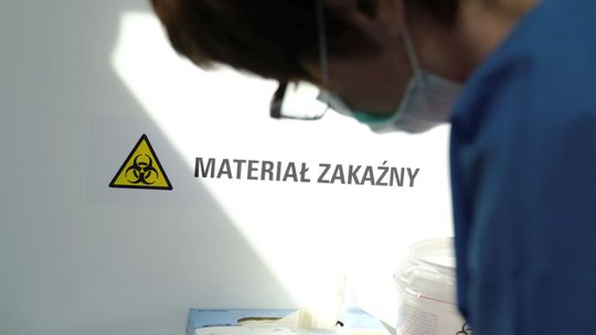 Pierwszy przypadek małpiej ospy w Polsce. Jak przenosi się choroba? Na co zwrócić uwagę?