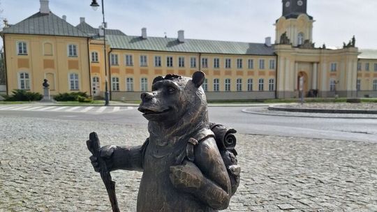 Pierwszy stanął tuż przed wyborami. Czy nowa władza da szansę niedźwiadkom? 
