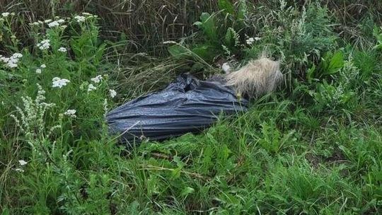 "Pies miał mieć dobrą opiekę". Zabili drewnianą pałką i powiesili na płocie