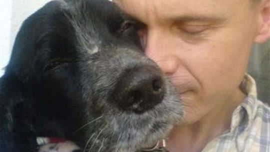 Pies nie przeżył sylwestrowej nocy, wystraszył się petardy