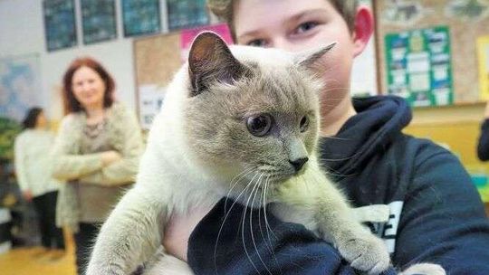 Pies oswaja, kot reklamuje. Tak promuje się SP nr 22 w Lublinie