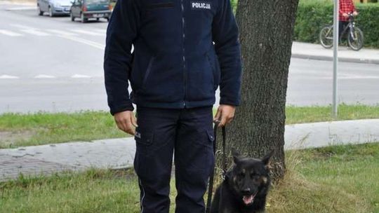 Pies tropiący doprowadził do włamywacza