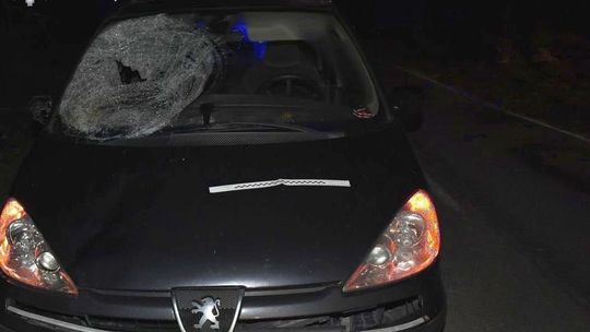 Pieszy zginął na poboczu. Kierowca peugeota wymijał inne auto