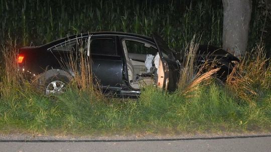 Pijana 19-latka rozbiła się na drzewie