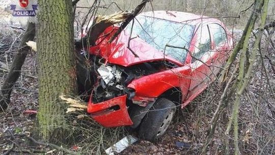 Pijany 19-latek uderzył skodą w drzewo