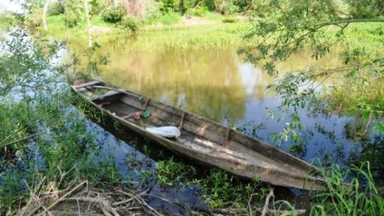 Pijany kłusownik grasował na Wiśle 