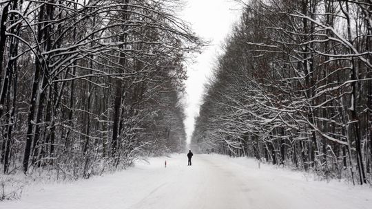 Pijany motorowerzysta jechał wężykiem. Przewracał się co chwilę
