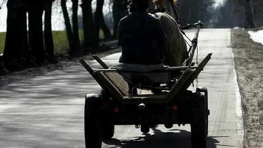 Pijany woźnica wpadł zaprzęgiem na fiata