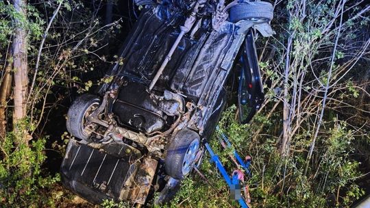 Pijany wsiadł za kółko i zakończył podróż na drzewie