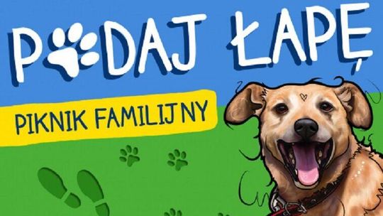 Piknik familijny dla wielbicieli psów na rzecz Schroniska dla Bezdomnych Zwierząt w Lublinie