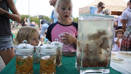 Piknik Rodzinny z Nauką za Pan Brat! Tu każdy znalazł coś dla siebie 