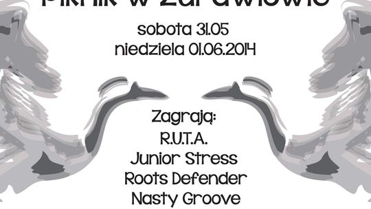 Piknik w Żurawlowie: R.U.T.A., Junior Stress, Roots Defender
