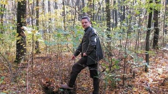 Piły pójdą w ruch. Wytną część drzew w lesie Borek