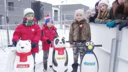 Pingwin i dwa misie z lodowiska mają imiona 