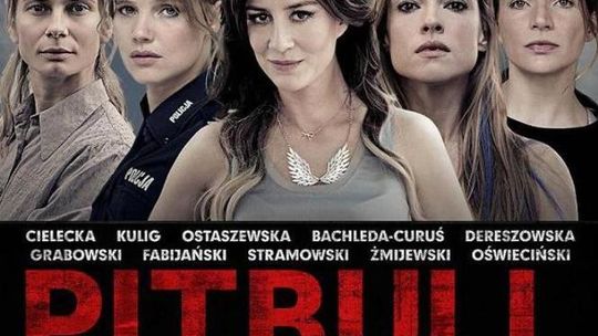 „Pitbull. Niebezpieczne kobiety”. Recenzja filmu