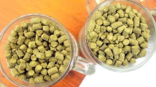 Piwo to zupa chmielowa. Obalamy ten i inne piwne mity