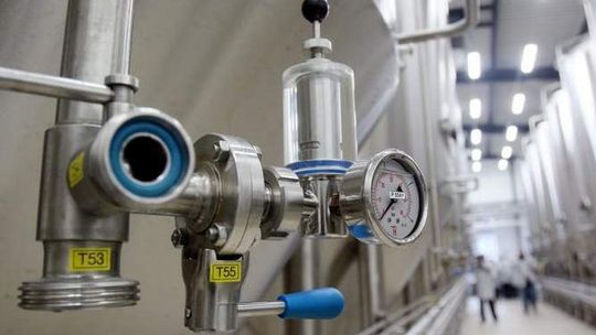 Piwo ze Zwierzyńca wraca na półki (wideo)