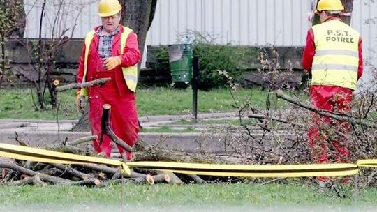 Plac Litewski już łysieje. Ruszyła wycinka drzew