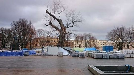 Plac Litewski: Już wiadomo co będzie w miejscu Baobabu
