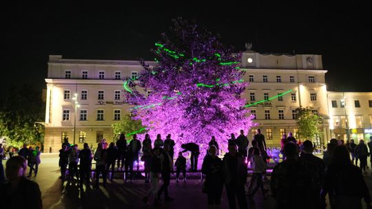 Plac Litewski zabłyśnie na kolorowo w ramach solidarności