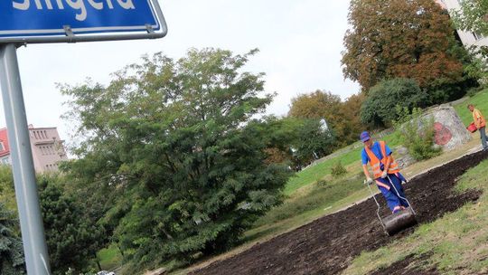 Plac Singera w Lublinie jest bardziej trawiasty niż był