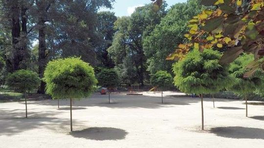 Plac zabaw w Ogrodzie Saskmi ma być lepszy. Pojawią się nowe urządzenia