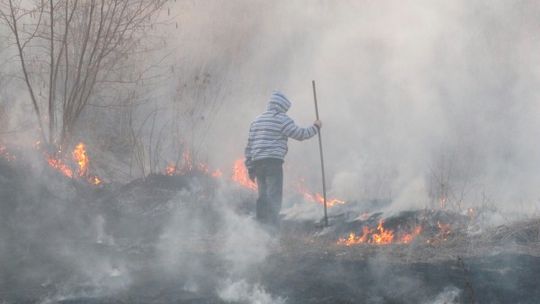Plaga pożarów traw. ARiMR ostrzega - nie wypalaj, bo stracisz dopłaty