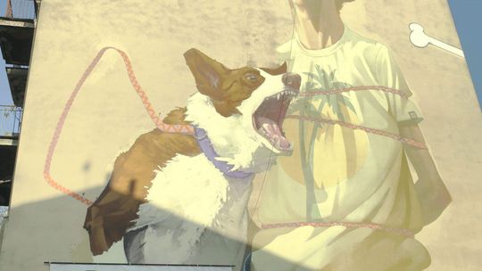 Plakat wyborczy na muralu w Lublinie. Kandydatka: "Przepraszam, będzie zdjęty"