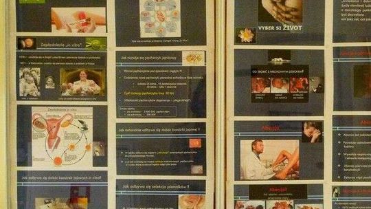 Plakaty pro-life wisiały na UMCS. Jest petycja do władz. Uczelnia: "Nie było na nie zgody"