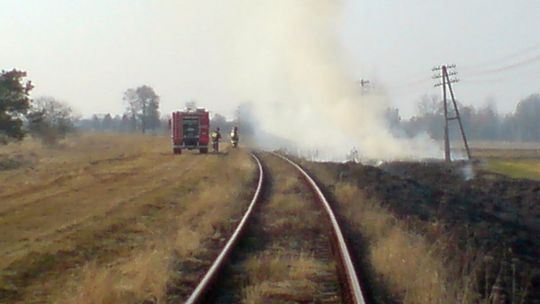 Planta: Dwa pożary traw w okolicach torowiska