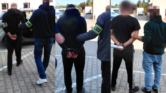Plantacja konopi w lesie pod Łęczną. Trzech mężczyzn trafiło do aresztu