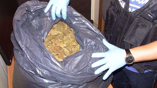 Plastikowy worek, a w środku 5 kilogramów marihuany [wideo]